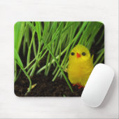 Tapis De Souris poussin d'herbe (Avec souris)