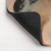 Tapis De Souris Poussin laid (Coin)