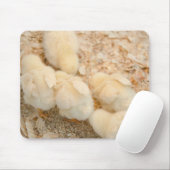 Tapis De Souris poussins (Avec souris)