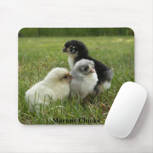 Tapis De Souris Poussins de Marans (Avec souris)