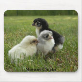 Tapis De Souris Poussins de Marans (Devant)