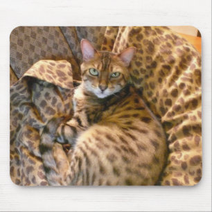 Tapis De Souris Pouvez-vous me voir ?