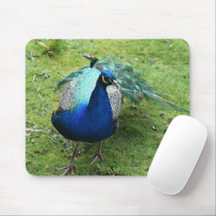 Tapis De Souris Pouvoir du Paon Royal