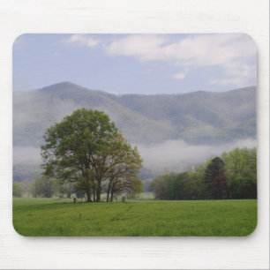 Tapis De Souris Prairie brumeuse et Rich Mountain, Cades Cove,