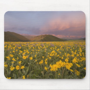Tapis De Souris Prairie de fleurs sauvages spectaculaire au lever 