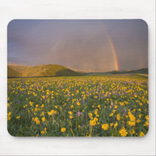 Tapis De Souris Prairie de fleurs sauvages spectaculaire au lever