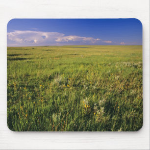 Tapis De Souris Prairie de graminées courtes dans le nord-est éloi