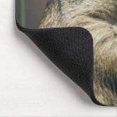 Tapis De Souris Prairie dog (Coin)