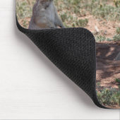 Tapis De Souris Prairie Dog Family (Coin)