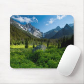 Tapis De Souris Prairie et mont Stuart (Avec souris)