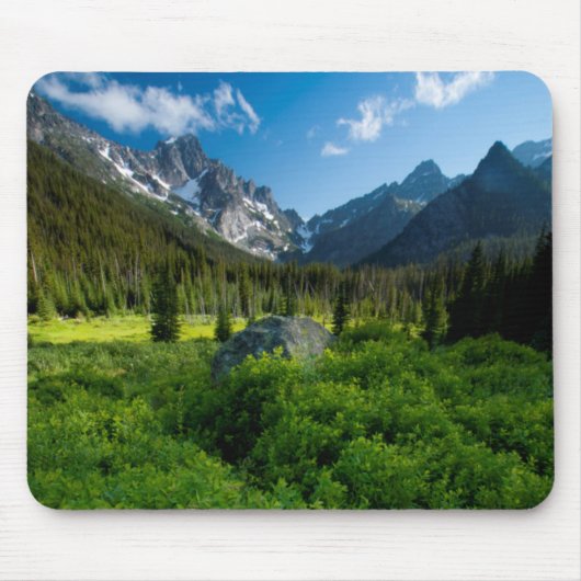 Tapis De Souris Prairie et mont Stuart (Devant)
