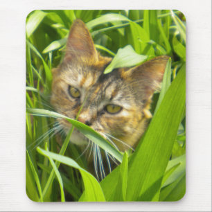 Tapis De Souris Précieuse carte de souris Jungle Kitty