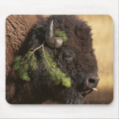 Tapis De Souris Préjudice de vacances (Devant)