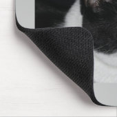 Tapis De Souris Pretty Kitty Mousepad (Coin)