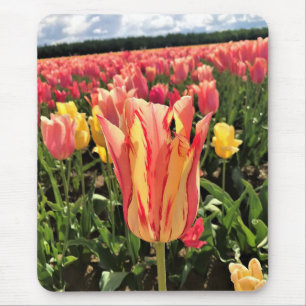 Tapis De Souris Pretty Spring Tulip