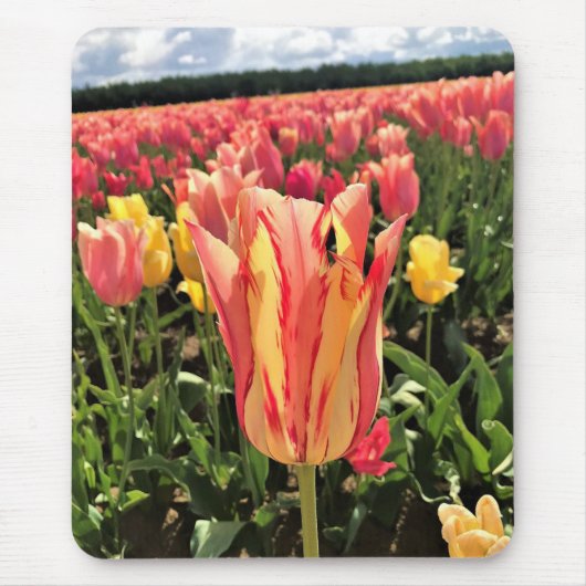 Tapis De Souris Pretty Spring Tulip (Devant)
