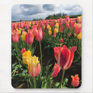 Tapis De Souris Pretty Spring Tulips in a Field, Oregon