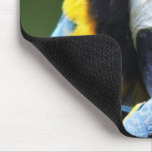 Tapis De Souris Prévenir le perroquet (Coin)