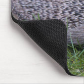 Tapis de souris Prickles (Coin)