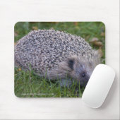 Tapis de souris Prickles (Avec souris)