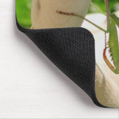 Tapis De Souris Prier Mantis pendre vers le bas (Coin)