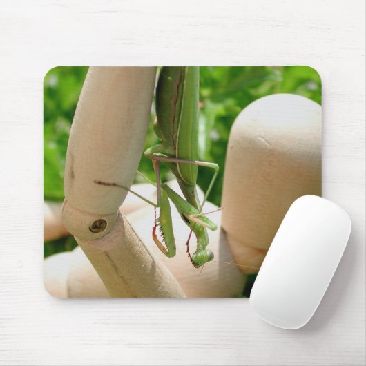 Tapis De Souris Prier Mantis pendre vers le bas (Avec souris)