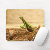 Tapis De Souris Prière Mantis Mouse Mat (Avec souris)