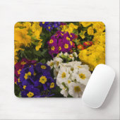 Tapis De Souris Primrose (Avec souris)