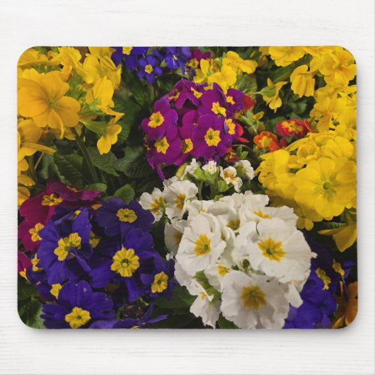 Tapis De Souris Primrose (Devant)