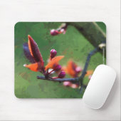 Tapis De Souris Printemps (Avec souris)