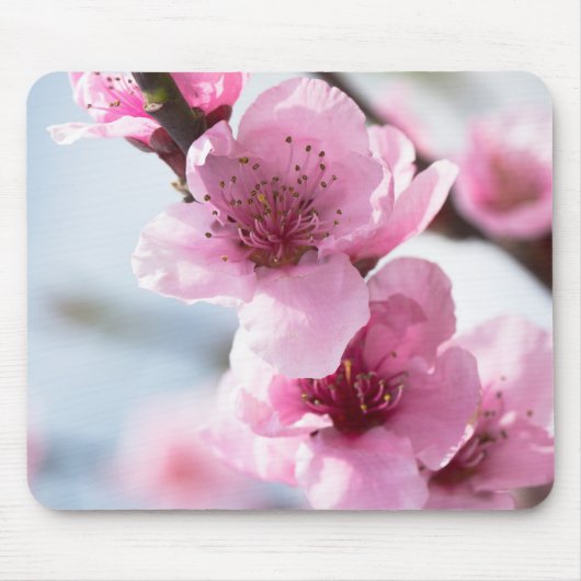 Tapis De Souris Printemps (Devant)