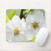 Tapis De Souris Printemps (Avec souris)