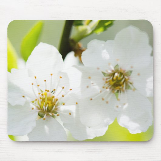 Tapis De Souris Printemps (Devant)
