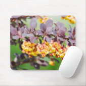 Tapis De Souris Printemps (Avec souris)