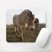 Tapis De Souris Printemps (Avec souris)