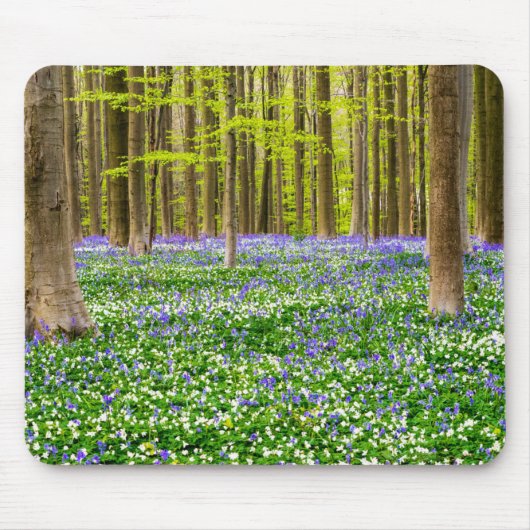 Tapis De Souris Printemps dans la forêt bleue (Devant)
