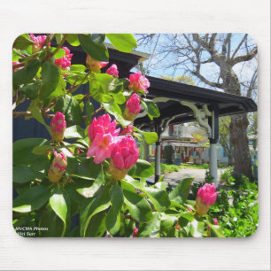 Tapis De Souris Printemps en Cottage City - Martha's Vineyard