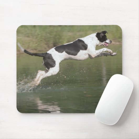 Tapis De Souris Prise d'un piqué (Avec souris)