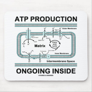 Tapis De Souris Production d'ATP en cours à l'intérieur