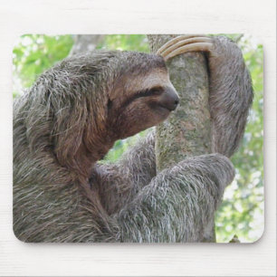 Tapis De Souris Produit de personnaliser