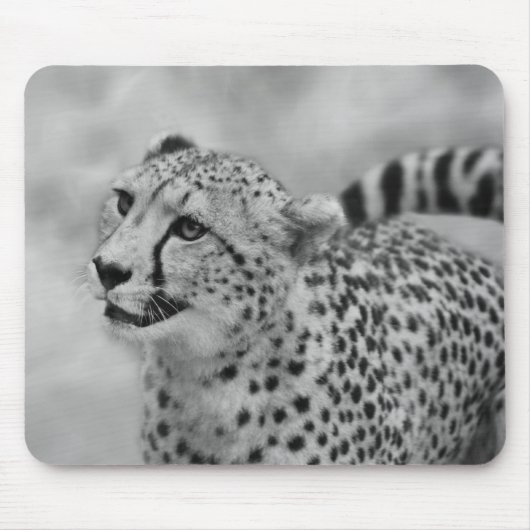 Tapis De Souris Profil de Cheetah (Devant)