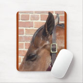 Tapis De Souris profil de cheval (Avec souris)