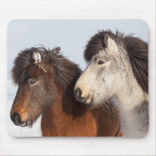 Tapis De Souris Profil de cheval islandais, Islande