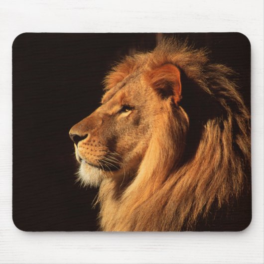 Tapis De Souris Profil masculin de lion - images de faune par (Devant)