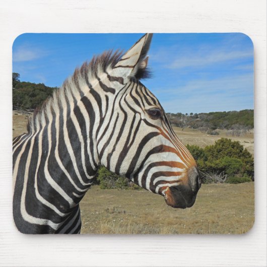 Tapis De Souris Profil Zebra de Hartmann à Fossil Rim (Devant)