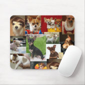 Tapis De Souris protection de chiwawa (Avec souris)