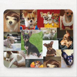 Tapis De Souris protection de chiwawa