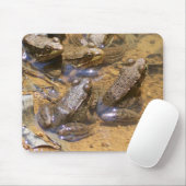 Tapis De Souris protection de grenouille (Avec souris)