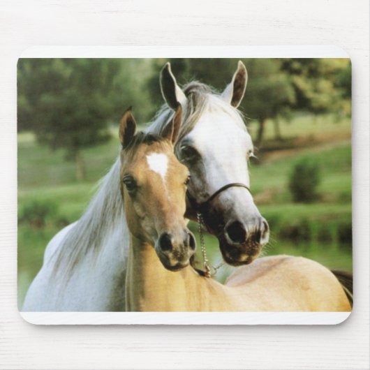 Tapis De Souris Protection de poney (Devant)