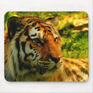 Tapis De Souris Protection de tigres
